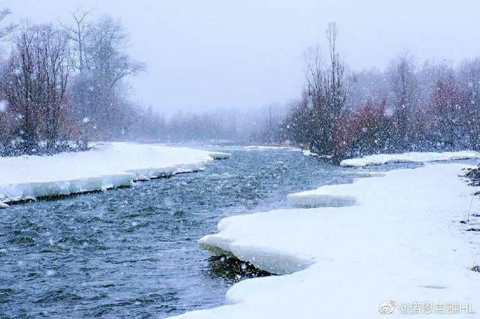 雪公园森林逃生