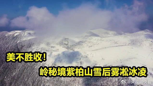 10年前,上海小伙火烧靖国神社,后被韩国政府“护送”回中国?