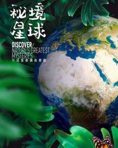 虫虫助手下载