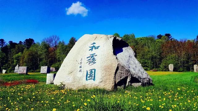 动物帮帮忙保卫家园