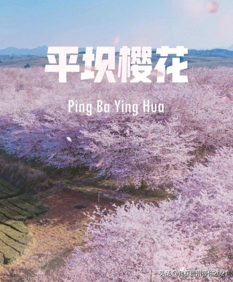 救援卑鄙者