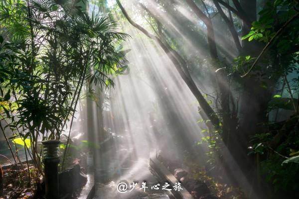 全球最受欢迎的10个美剧排名,《绝命毒师》只能排第七