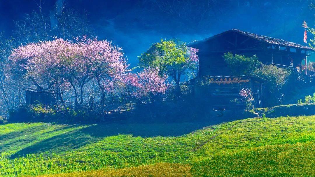 燃烧吧大脑免广告最新版