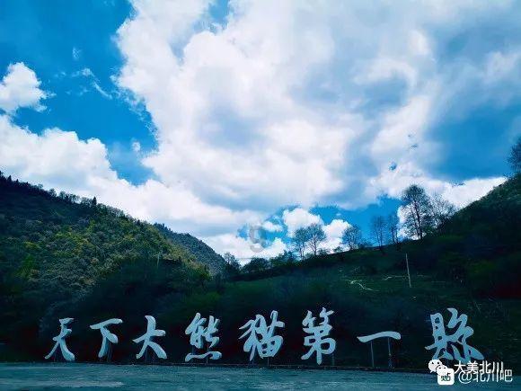 振华股份(603067.SH):发行可转债申请获得上交所上市审核委员会审议通过