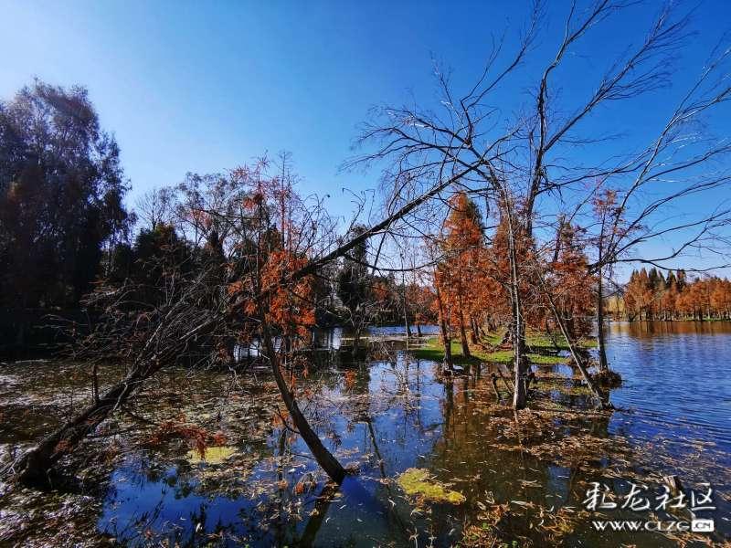 宁夏银川富洋烧烤店爆炸原因是什么?官方回应