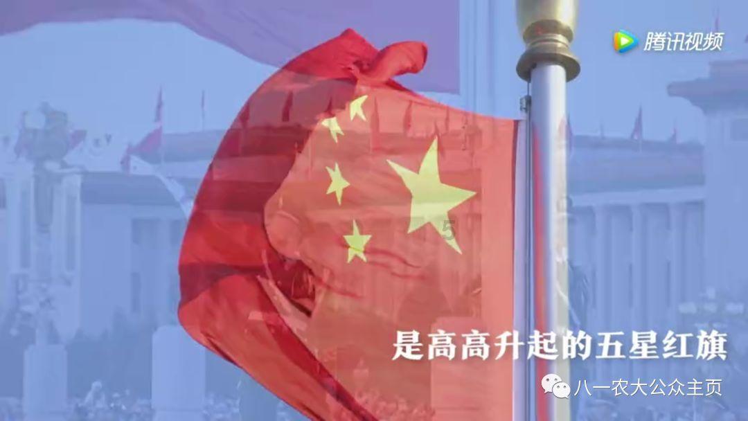 海滩小镇逃生