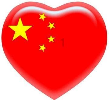 营救小猫头鹰