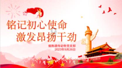 小时代官方游戏
