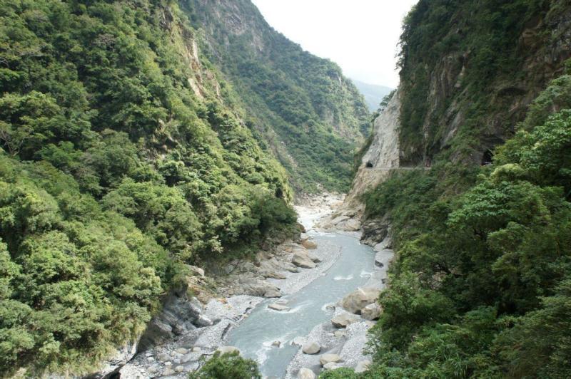 营救小乌龟