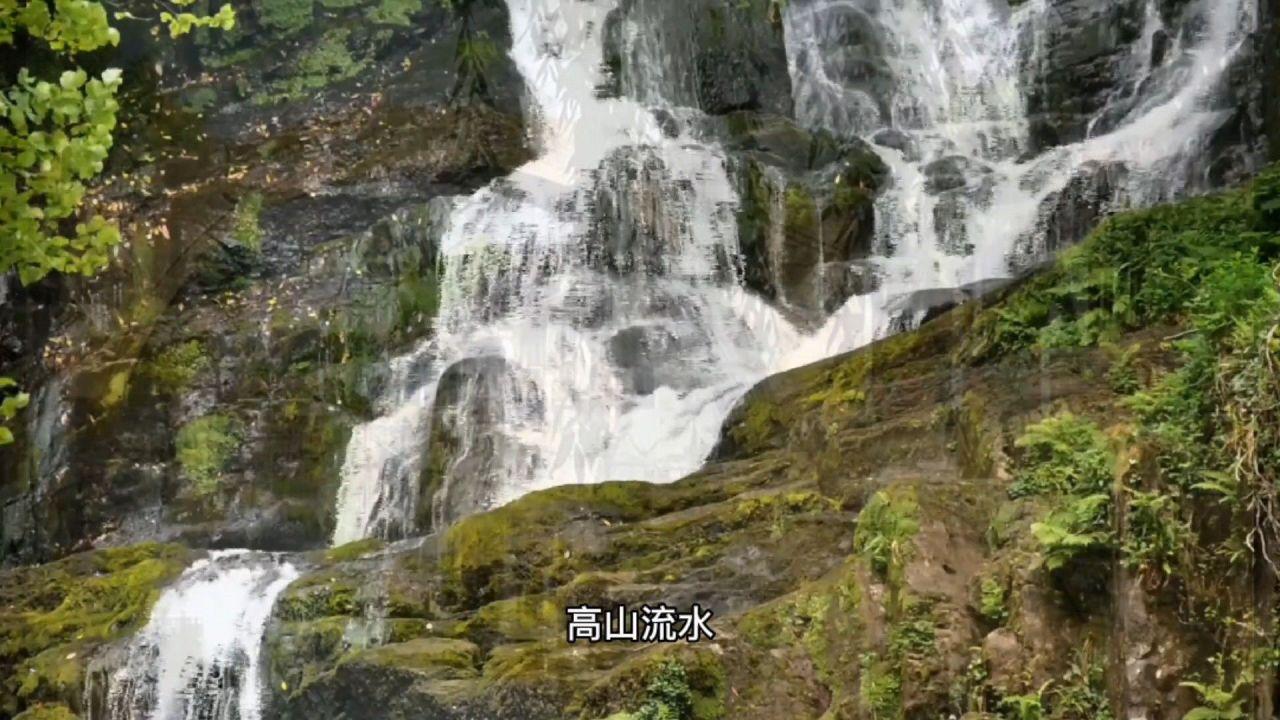 88影视