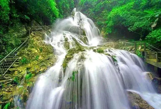 翻转吧，苹果虫