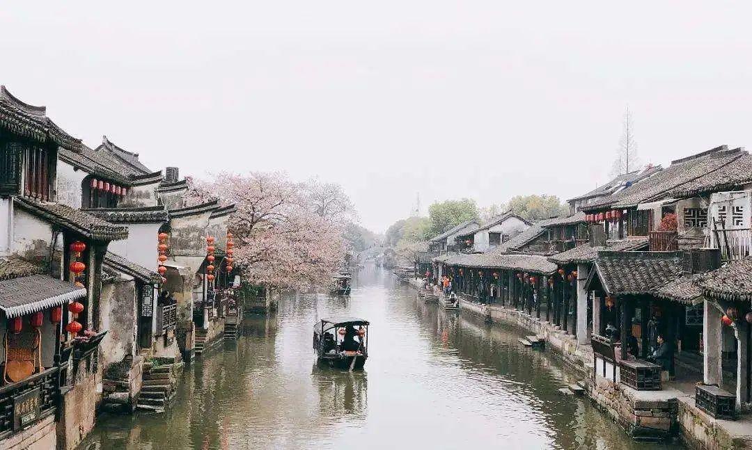僵尸辨色球