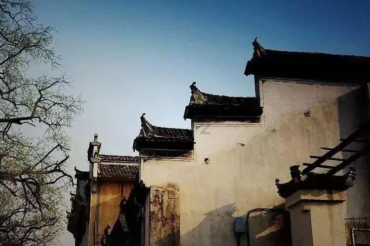 萌宠大连接