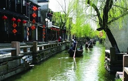 喜羊羊要上200层