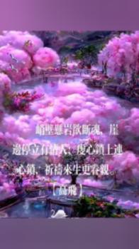 多大面子啊,拿不到奖,总统夫人就替她喊冤?